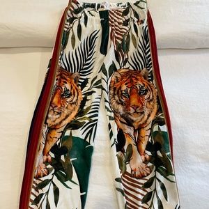 Aviator Nation Jungle Tiger Velvet Joggers